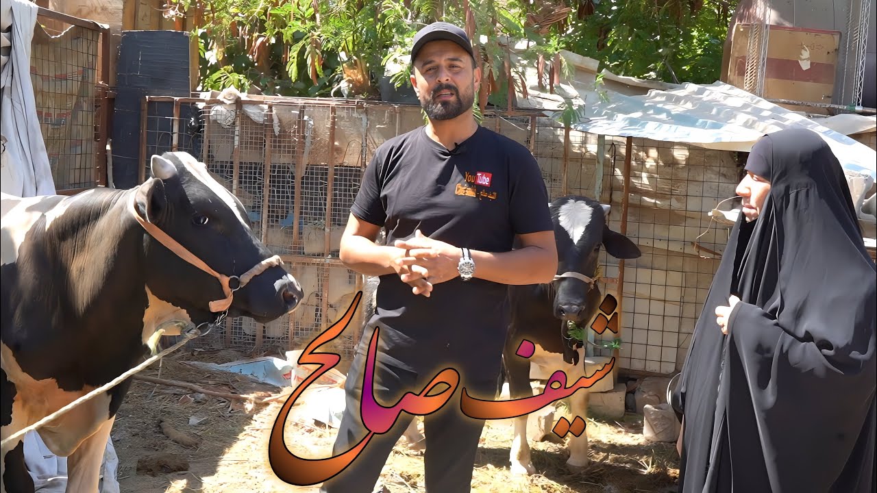 تعالو اراويكم القيمه الناعمه بلحم العجل كميه كبيره من زاد اباعبدالله