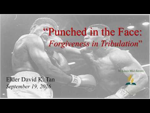 Punched in the Face: Forgiveness in Tribulation