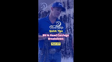 Bit And Head Carriage Breakdown! Part 7! | The Horse Guru-Michael Gascon