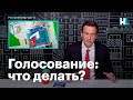 Навальный о том, что делать с голосованием по поправкам в Конституцию