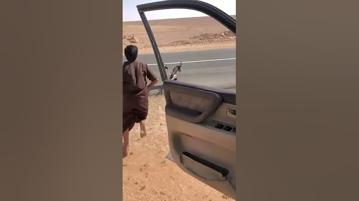 صيد طائر العقاب وهو يطير لايفوتكم المقطع