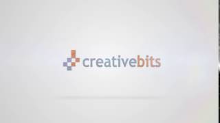 Clean & Professional Logo Animation 16
