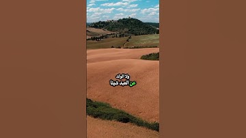 مقاصد سورة المسد #أبو_طلحة