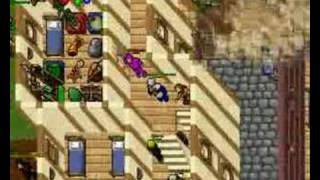 The tibia guild war...