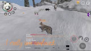 I did something in Wolf Online 2 with GameGuardian