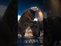 FUKUSUKE the Cat vs T-REX in Shibuya | 猫・福助 vs ティラノサウルス in 渋谷