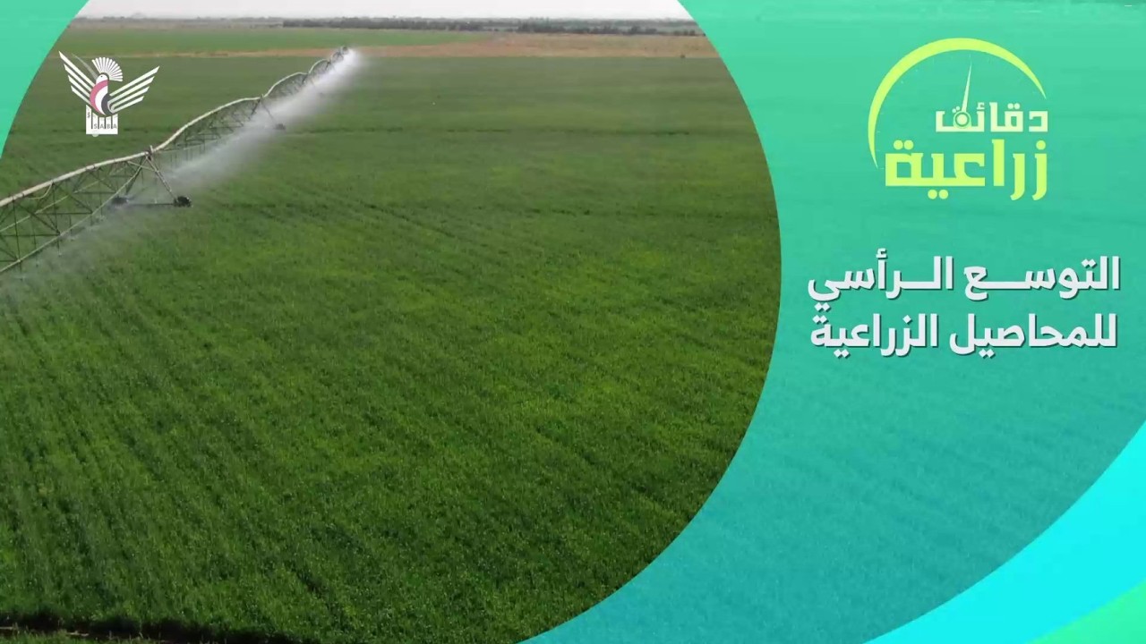 التوسع الرأسي للمحاصيل الزراعية