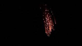 5inch shells-red strobe willow waterfall.mpg