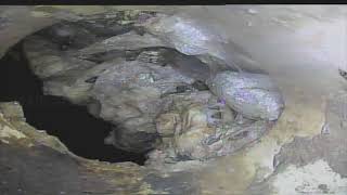 Lateral Sewer Line 1292 Oak SD 480p