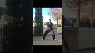 #martialarts #chenstyletaiji #boxing #taichi #motivation #kungfu #hunyuan #elbows #karate