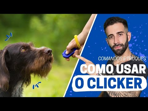 Vídeo: Treinamento de Clicker para cães pastores alemães