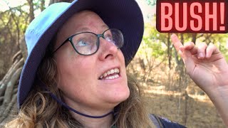 Hidden Gem Hiking Trail? Exploring DIE BOSVELD in Pretoria, South Africa