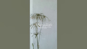 سورة النمل #قرآن #quran #اكسبلور