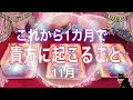 2019年11月 これから1ヶ月で貴方に起こる事🦋✨