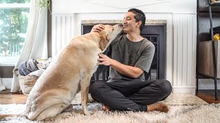 How my dog communicates with me | Very Smart