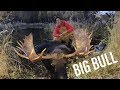 2018 Saskatchewan Moose Hunt