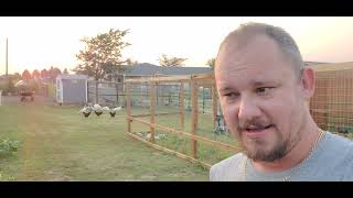 9/7/21 Giant pumpkin update