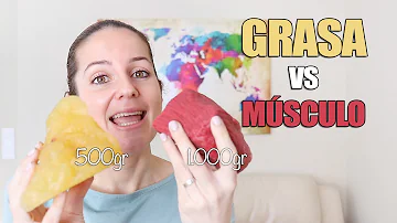 ¿Cuál es la diferencia entre grasa y músculo?