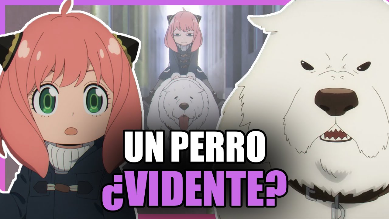 El PERRO que SALVABA NIÑOS viendo el FUTURO 🐶❤ | Spy x Family (Capítulo 13)