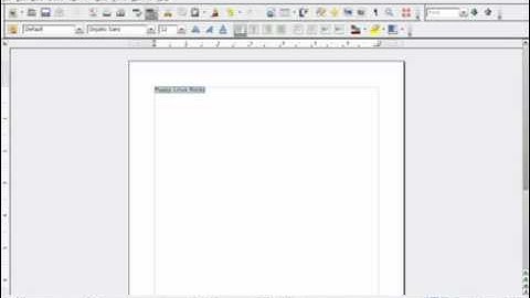 Paste in the CLI in Puppy Linux