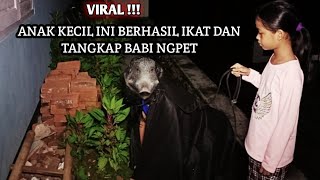Download Lagu TANGKAP BABI NGEPET SEDANG BEROPRASI BARU SETENGAH JADI BABI MP3 Download Lagu TANGKAP BABI NGEPET SEDANG BEROPRASI BARU SETENGAH JADI BABI MP3