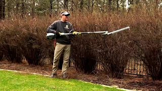 EGO Pole Hedge Trimmer Review (Multi Tool System)