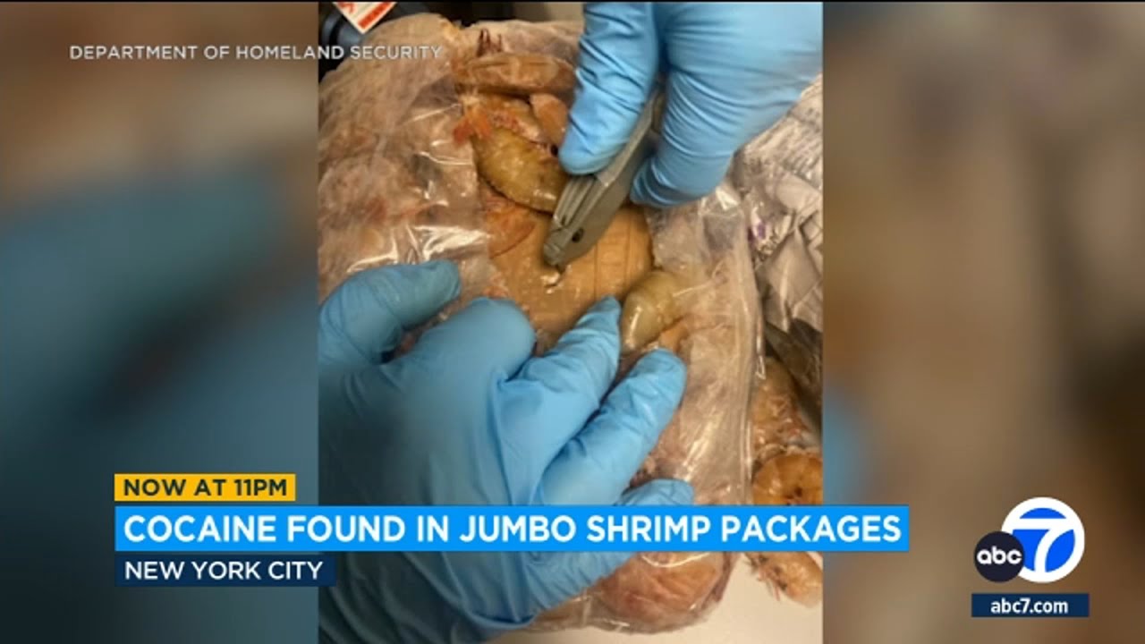 Man arrested for allegedly smuggling cocaine in bags of jumbo shrimp in ...