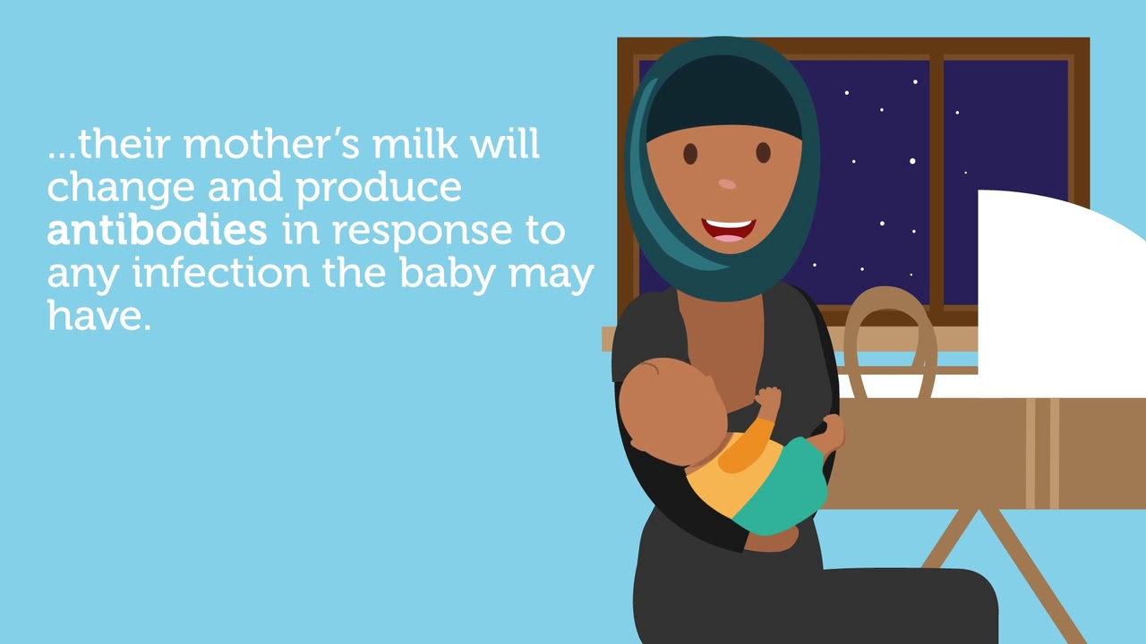 Breastfeeding animation Health YouTube