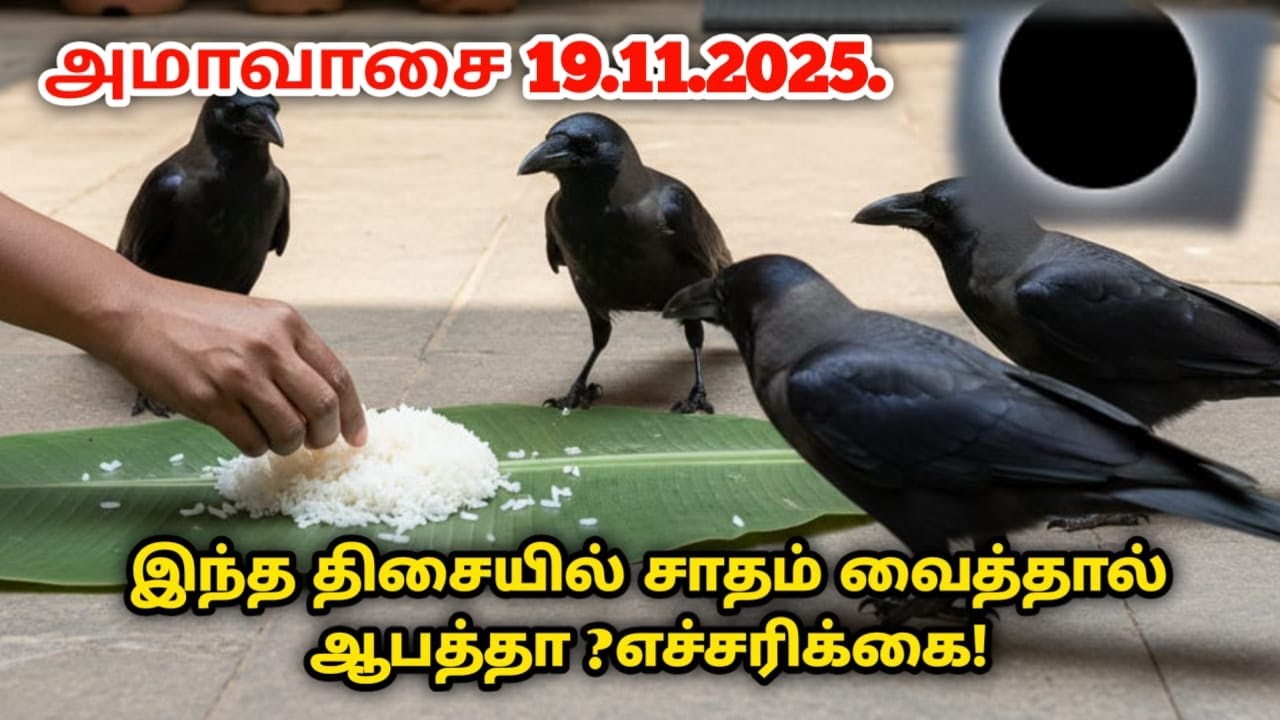 காகத்திற்கு எந்த திசையில் சாதம் வைத்தால் தீராத கஷ்டம் வரும்! எச்சரிக்கை! ammavasai 19.11.2025 !