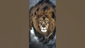 مانعرف اشمعنا الخوف 