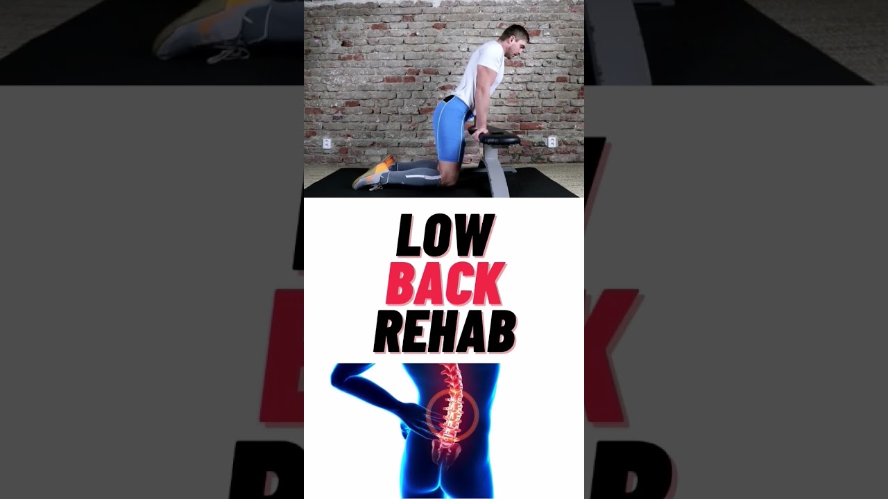 Low Back Pain Relief Exercises 