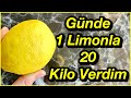 20 Kilo Verdiren Limon Kürü- Günde 1 Limonla 20 Kilo Nasıl Verilir