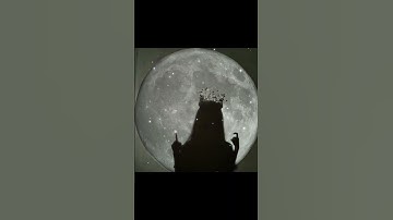 11 aesthetic profile pic for girls (part1)#aesthetic #subscribe #profile