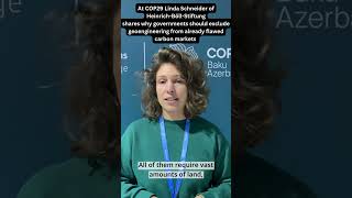 Linda Schneider of Heinrich-Böll-Stiftung on Why Flawed Carbon Markets Should Exclude Geoengineering