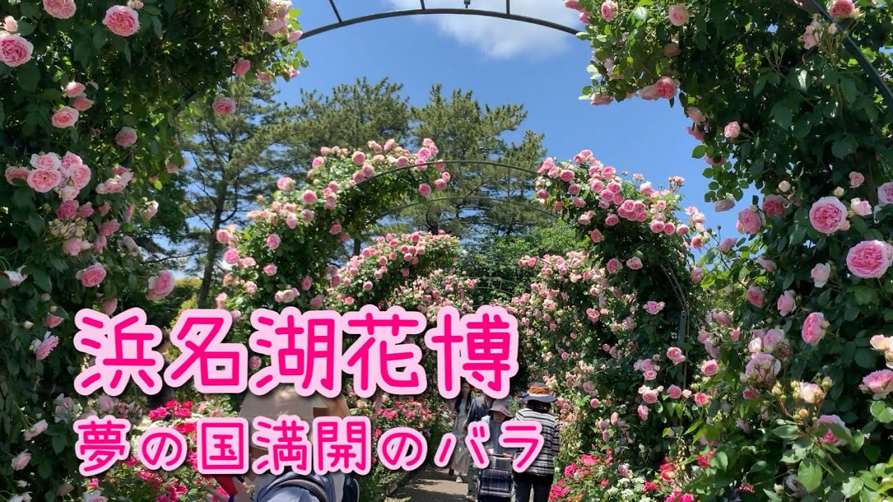 浜名湖花博バスツアー 夢の国満開バラ園 はままつフラワーパーク - YouTube