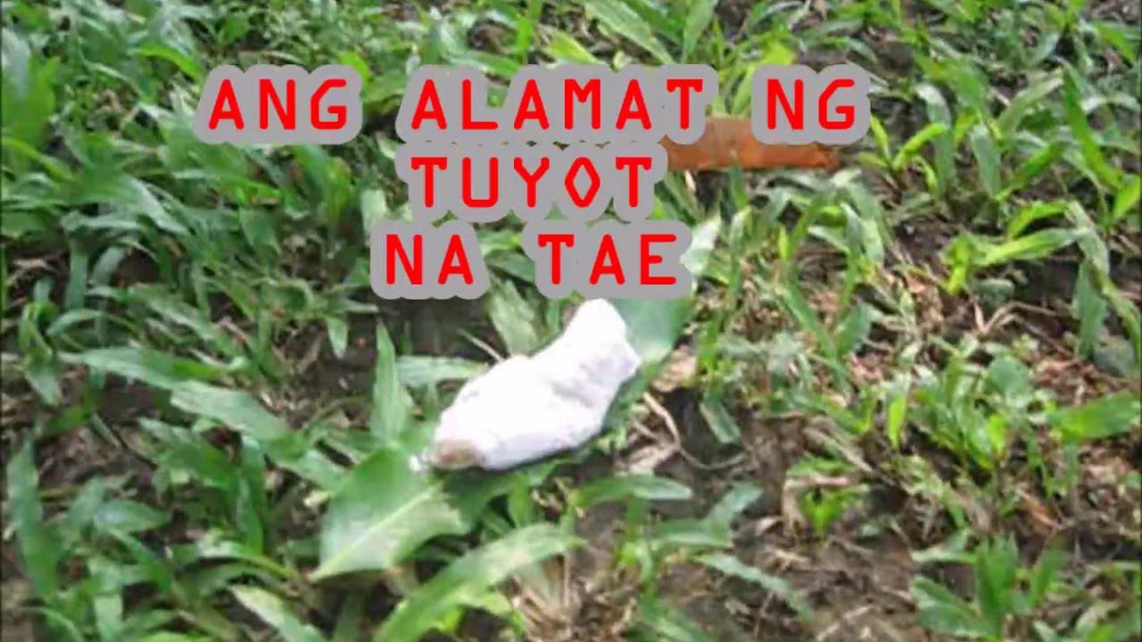 alamat ng tae - YouTube