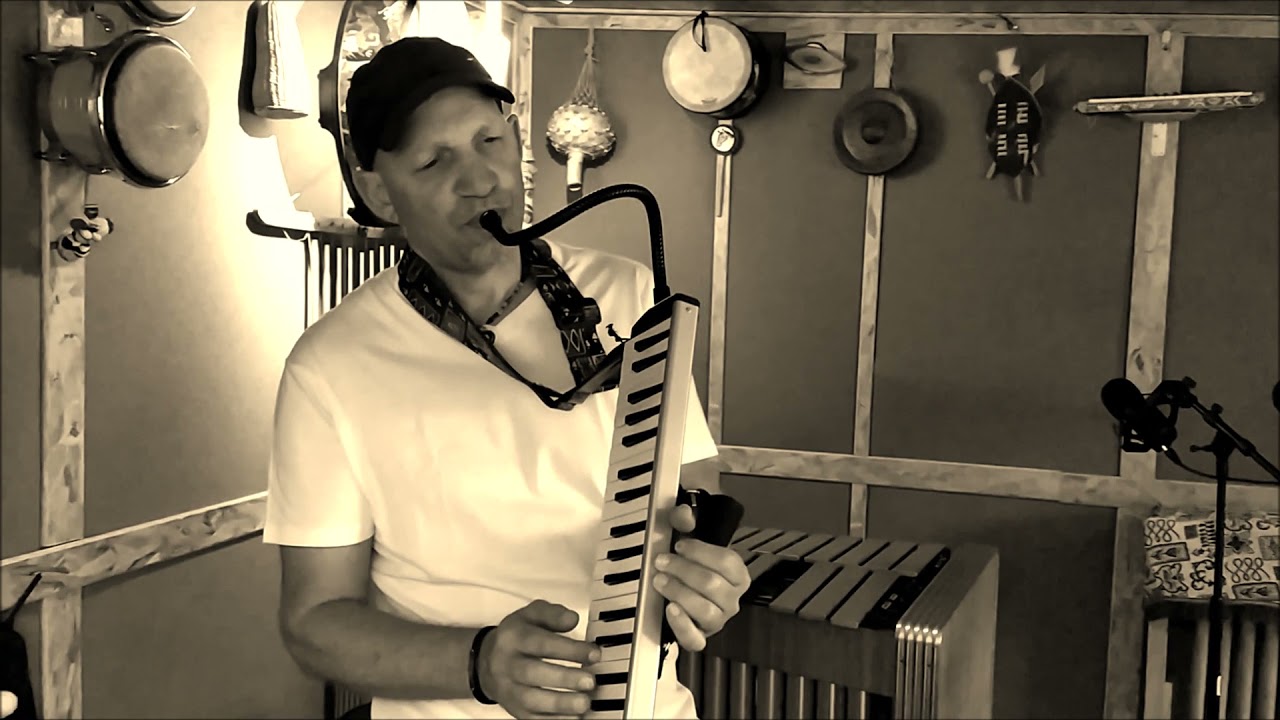Every Summer Night ( by Pat Metheny)   -   solo melodica