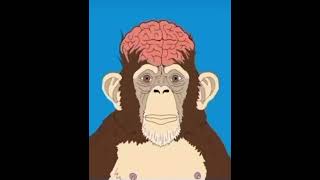 Teoría del mono dopado. #psicologia #psicodélico #arte #mente #espiritualidad #humano #naturaleza