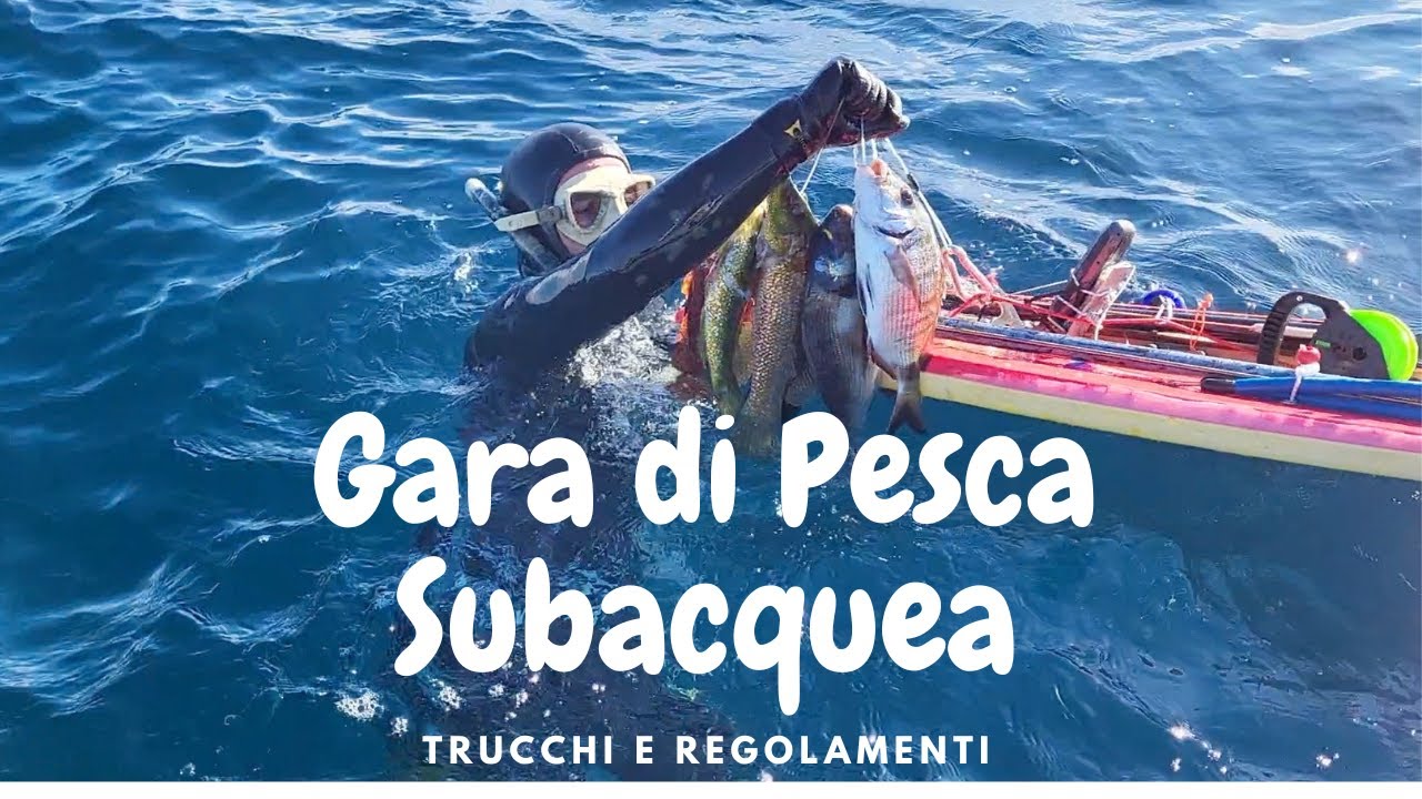 Gara di PESCA Subacquea -TRUCCHI E REGOLAMENTI