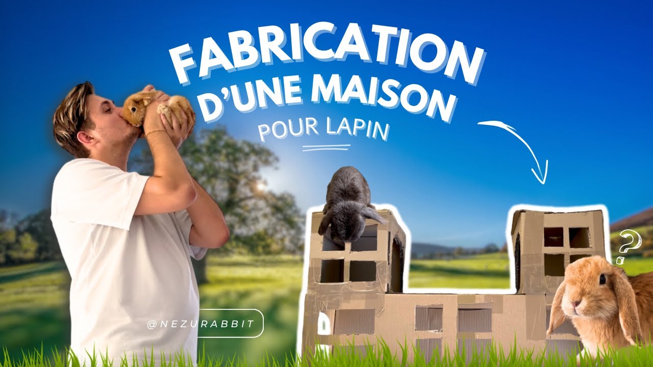 Fabriquer Une Maison En Carton Pour Lapin | Ventana Blog