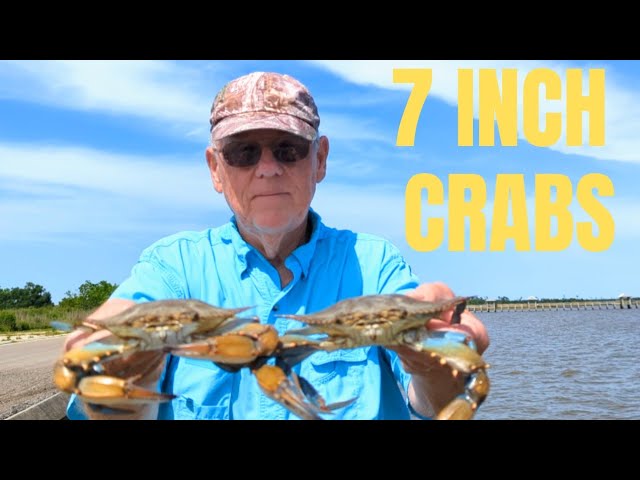 A full day of Surf Fishing and Crabbing Gulf Shores Alabama 