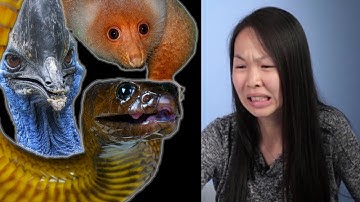 Can This Australian Animal Actually Kill You?