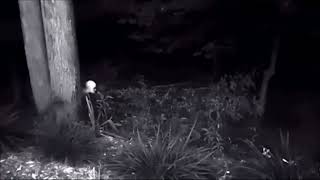 A humanoid creature was filmed by a hunting camera