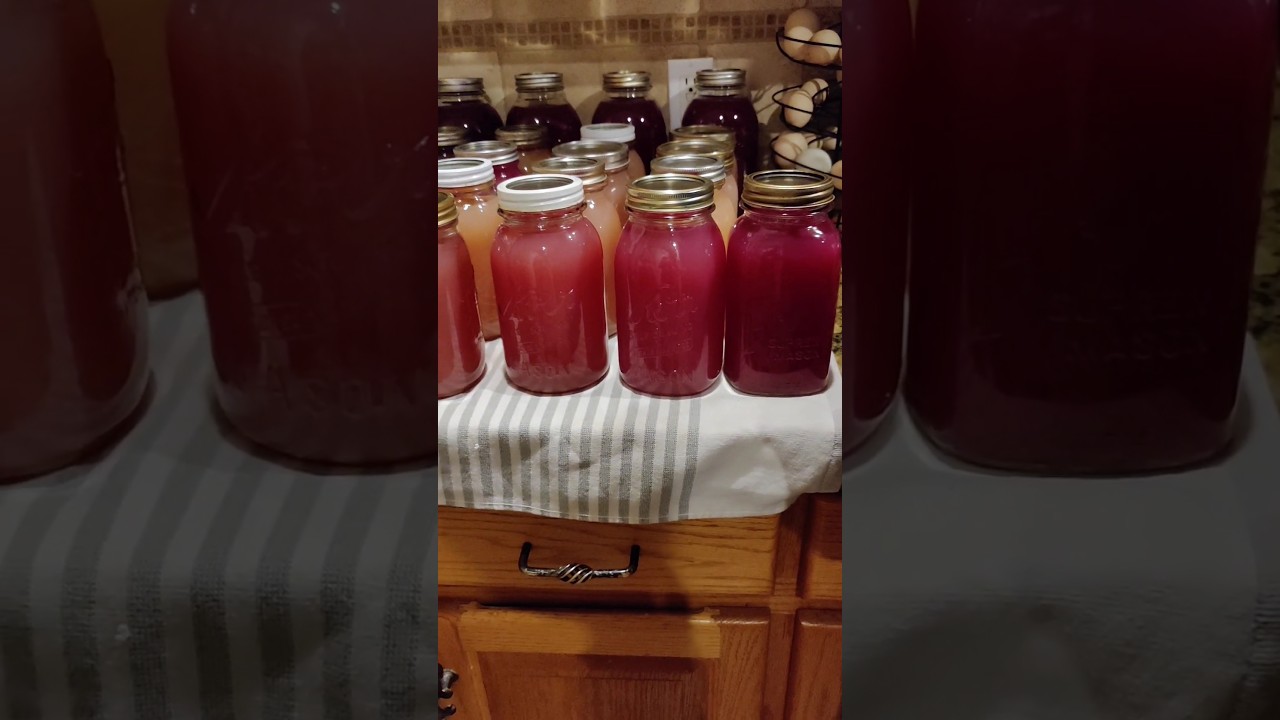 Steam juicing grape juice 