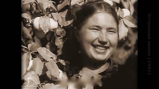 Эстонская земля (1941) документальный фильм Эстонская земля (1941) документальный фильм