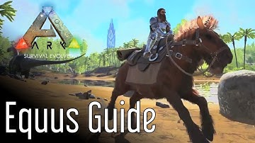 Equus Guide for ARK: Survival Evolved
