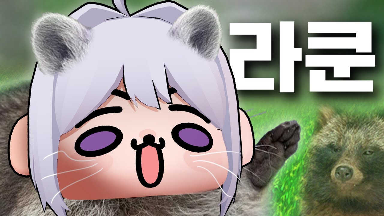 너굴맨 아니고 라쿤 - 아무위키