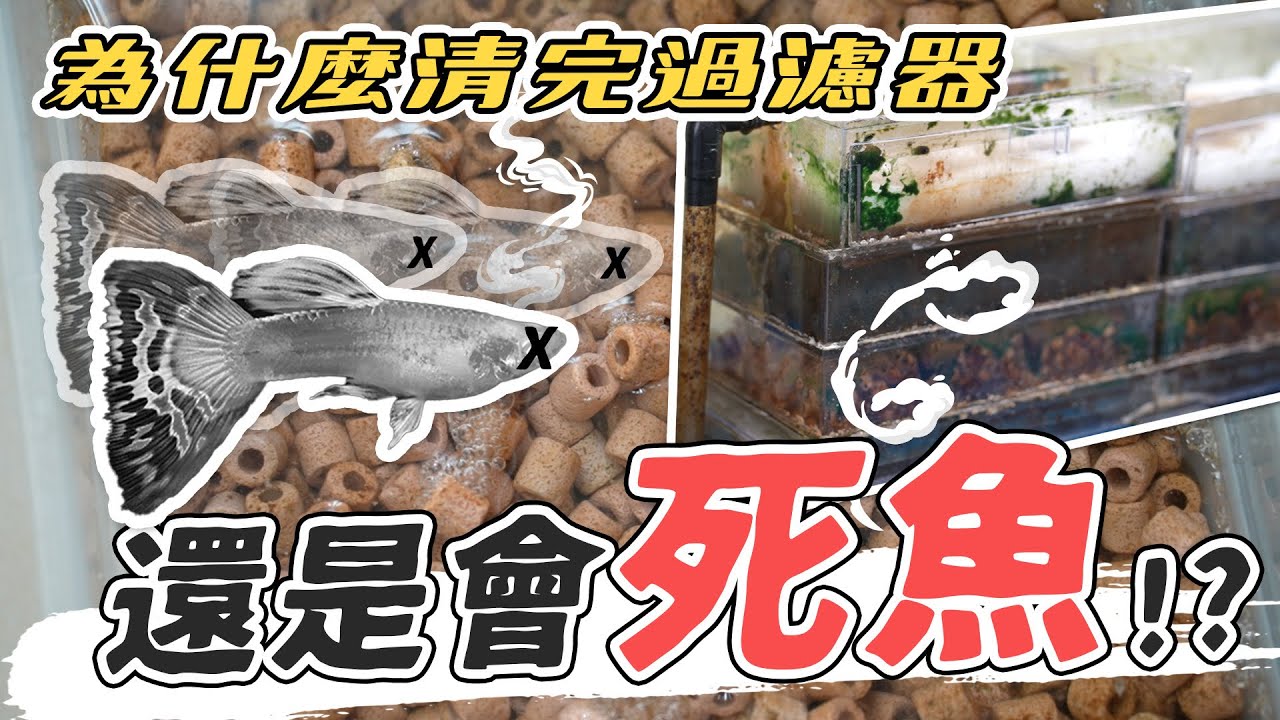 過濾器吵到不行？學會這招讓它再戰10年💪！ How to solve the noise of aquarium filter?
