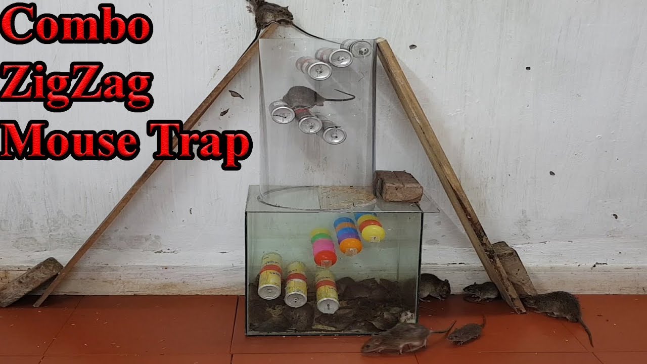 Combo Zigzag Mouse Trap Special Mouse Trap with Beer Cans and Balls