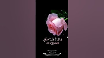 صباح الخير🌸حالات واتساب مقاطع قصيره🌸قران كريم قل لن يصيبناإلا ما كتب الله لنا🌸احمد العجمي بدون حقوق